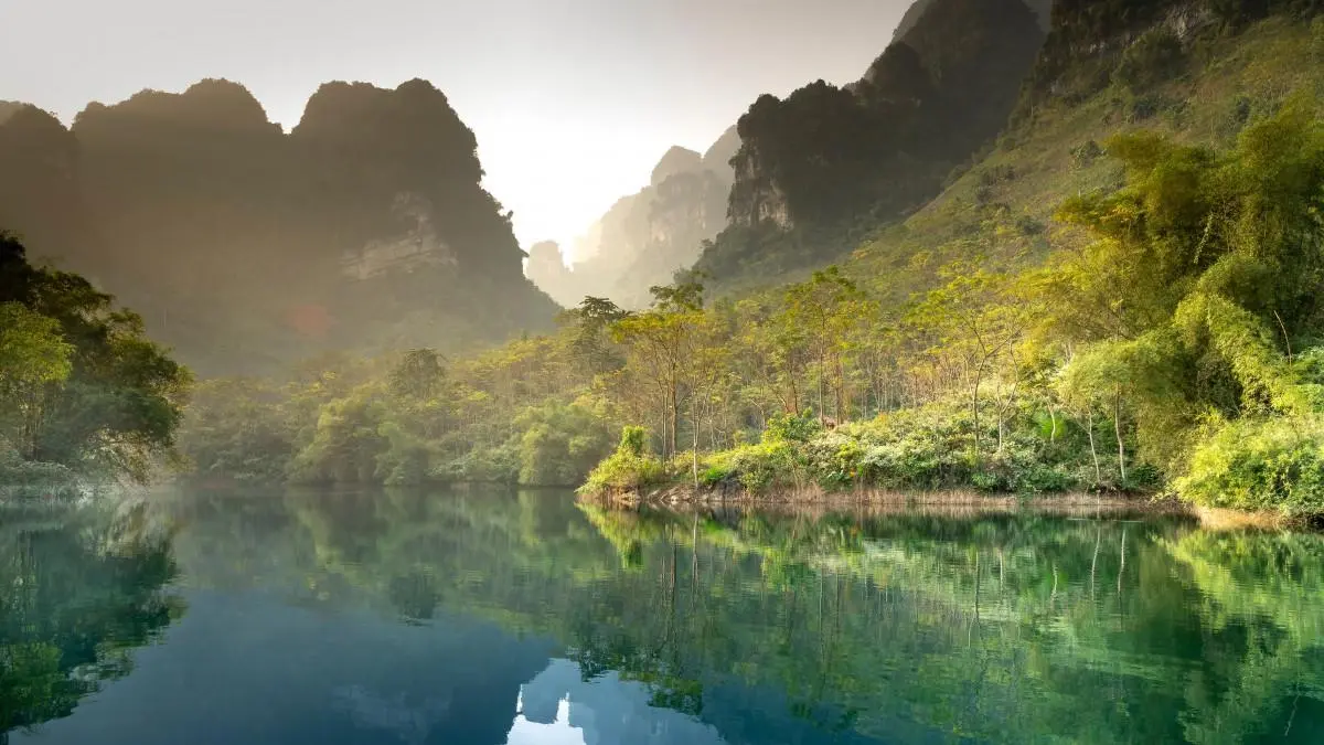 绿色绿色高效